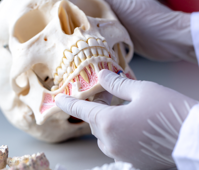 Prosthodontics Smile Dental Nogales